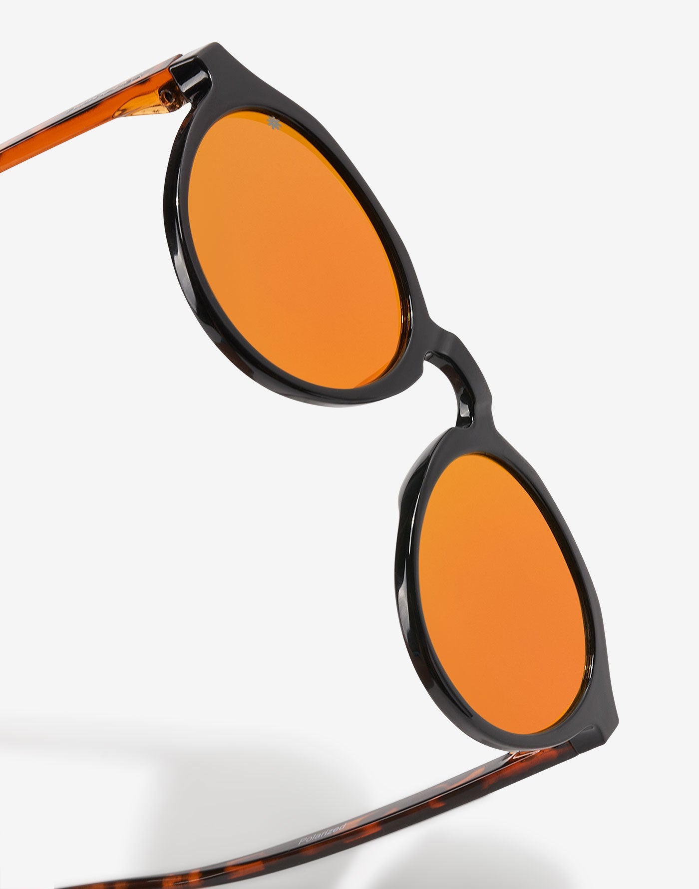 PLANET SAFARI POLARIZED
