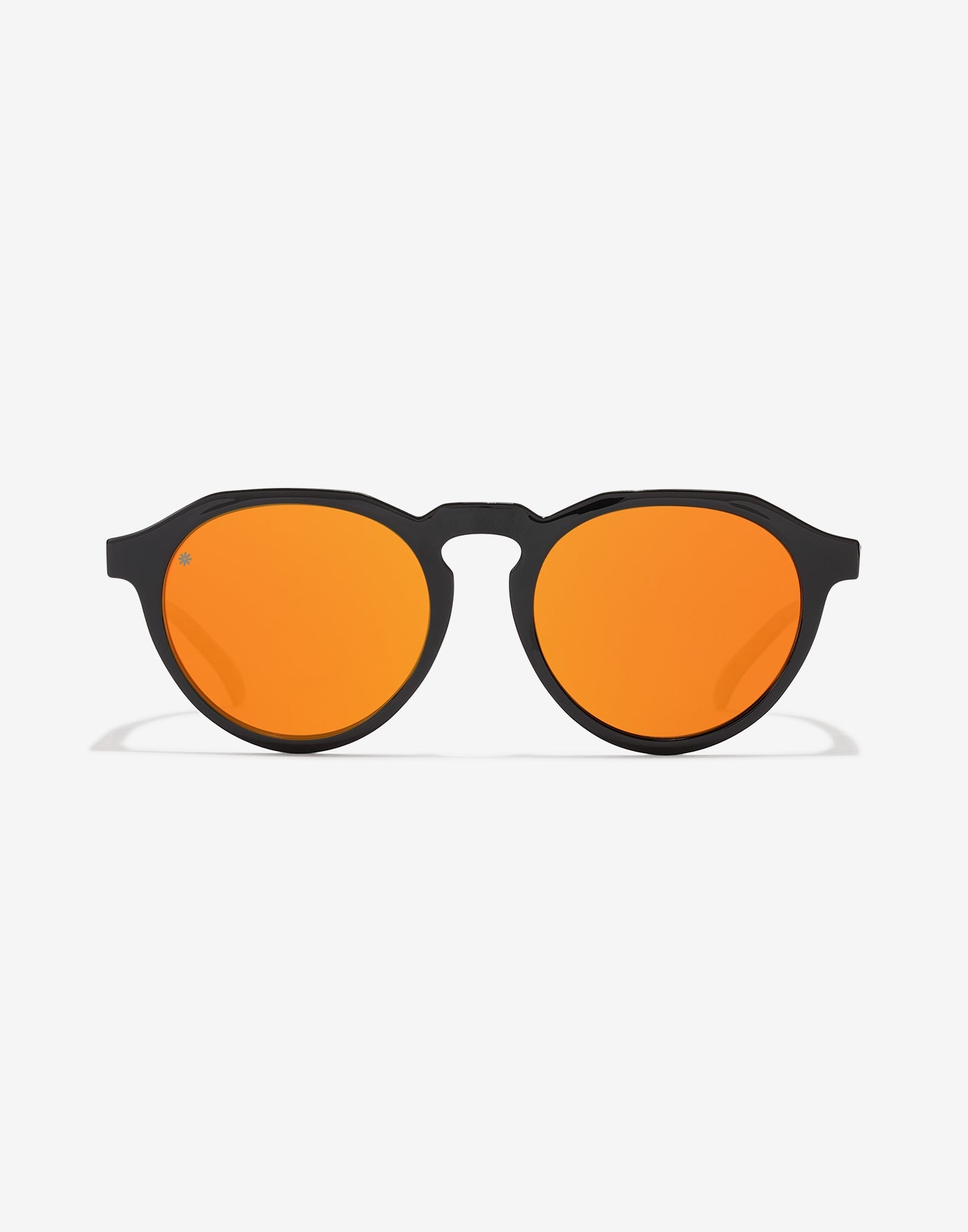 PLANET SAFARI POLARIZED
