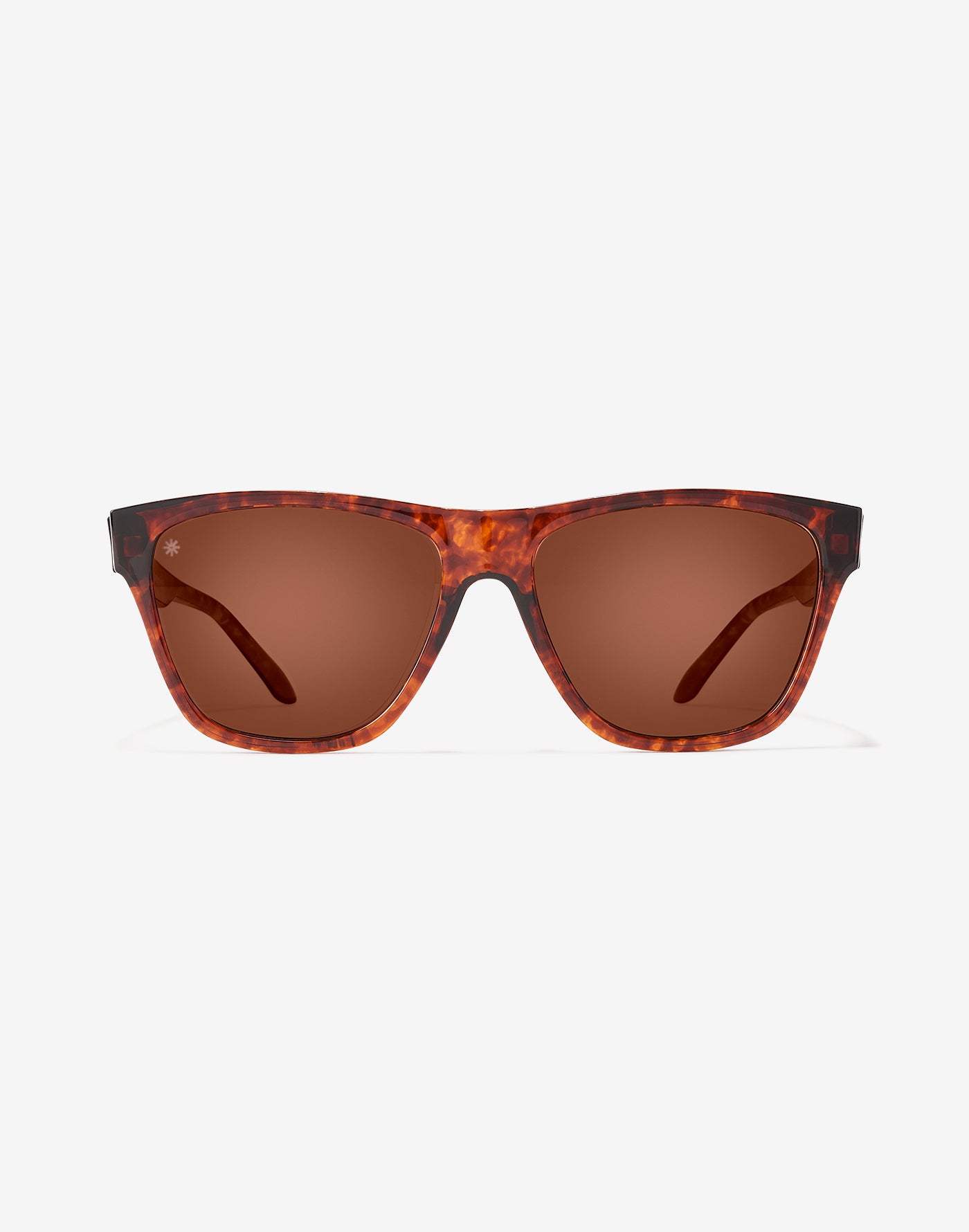 PLANET SHINE TORTOISE POLARIZED